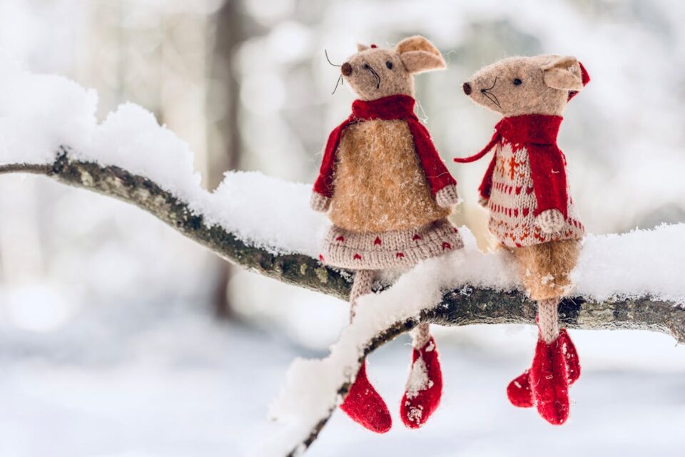 Compras de Natal com desconto