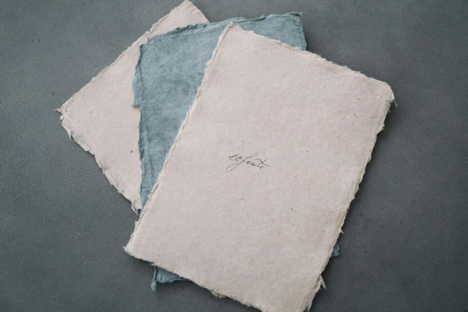 Papel de algodão: como escolher em 2026