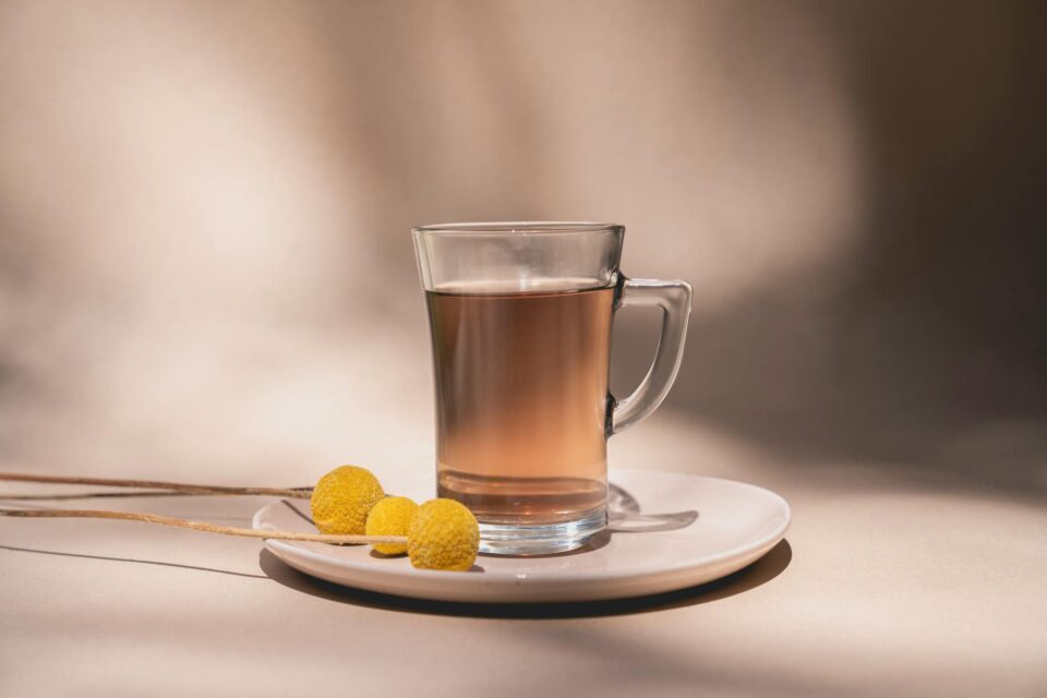 Kombucha em Casa: Guia Definitivo para Fazer de Forma Simples e Econômica — como fazer kombucha em casa de forma simples e ec