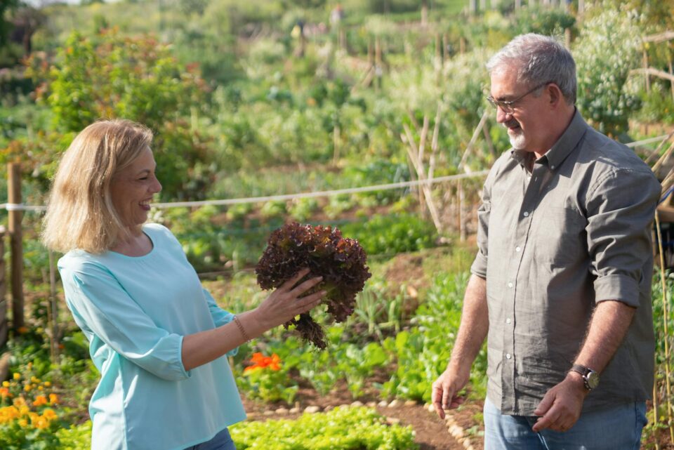 Horta Orgânica para Venda em Pequena Escala: Guia Completo para Começar e Lucrar — como iniciar uma horta orgânica para venda