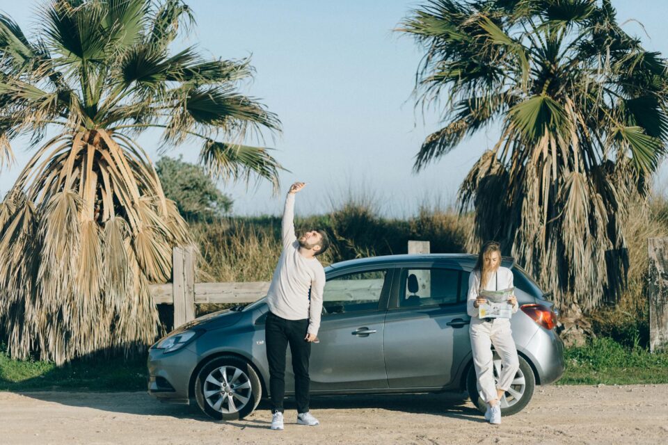 Guia Definitivo: Como Viajar com Seu Pet de Carro com Total Segurança e Conforto — como viajar com seu pet de carro de forma