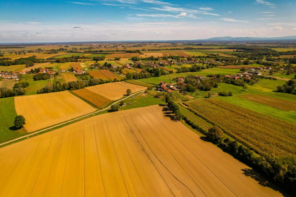 Gestão Rural Eficiente: Reduza Custos na Produção Agrícola e Turbine Seus Lucros — gestão rural eficiente como reduzir custos