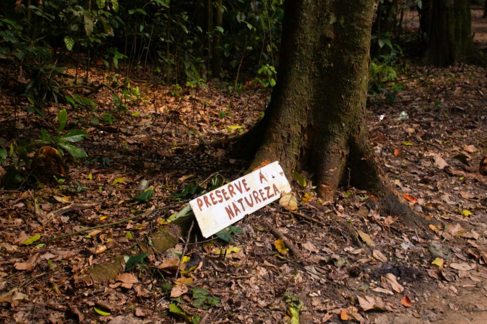 Ecoturismo em Família no Brasil: Os Melhores Destinos Imperdíveis para Aventuras Inesquecíveis — os melhores destinos de ecot