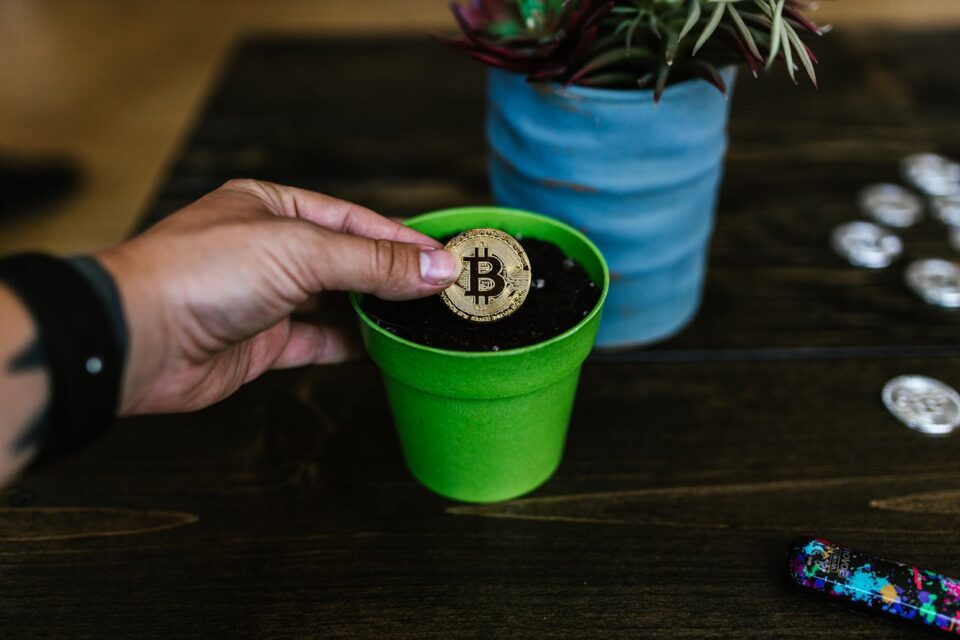 Investimentos para iniciantes